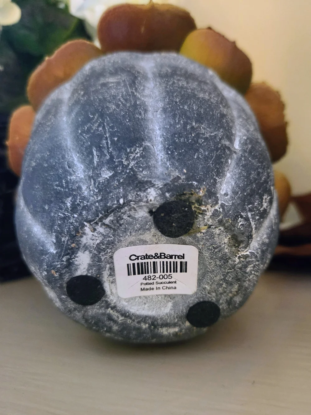 Crate&Barrel Faux Succulent in Distressed Gray Pot - Fall Plant Decor